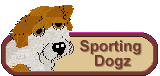 Sporting Dogz