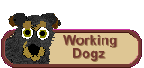 Working Dogz