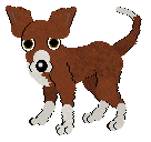 Basenji