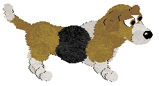 Bassett Hound