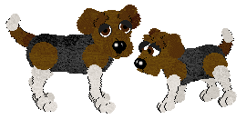 Beagle