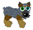 Blue Heeler