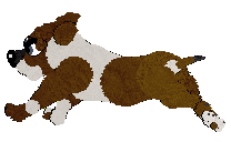 Bull Terrier