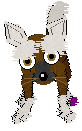 Chinese Crested Dog