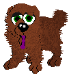 Chow Chow