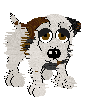 Cocker Spaniel