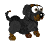 Dachshund