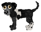 Dalmatian Lab Mix