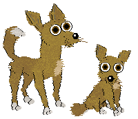 Dingos