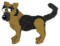 German Shepherd