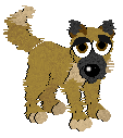 German Shepherd Mix