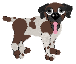 German Shorthair Pointer