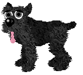 Giant Schnauzer