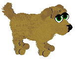 Golden Retreiver