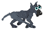 Greyhound