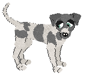 Greyhound