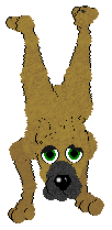 Handstand