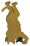 Headstand