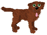 Irish Setter