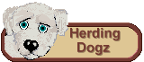 Herding Dogz
