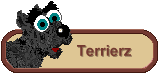 Terrierz