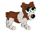 Pembroke Welsh Corgi