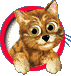 Petz Net