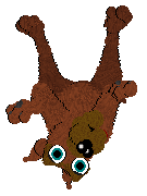 Play dead