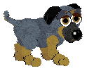 Plott Hound