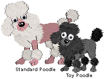 Poodles