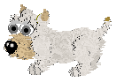 Sealyham Terrier