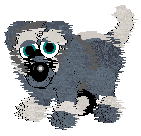 Sheepdog