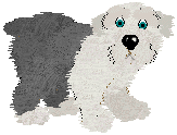 Old English Sheepdog