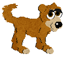 Shiba Inu