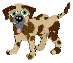 Spotted Mutt