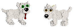 West Highland White Terrier